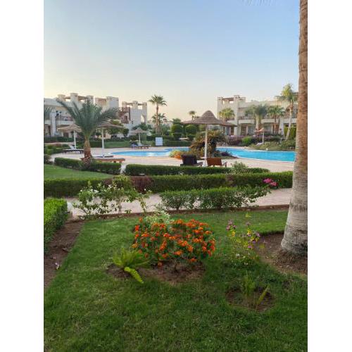 Cozy 1 bedroom apartments very close to Conference centre