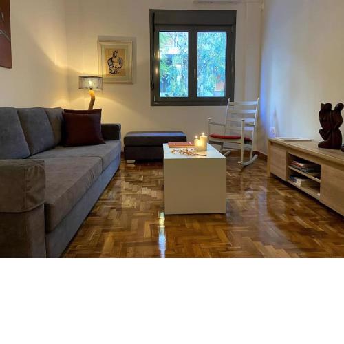 Cozy and comfortable apartment in Athens Center