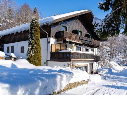 Cozy Apartment in Niedernsill with Garden