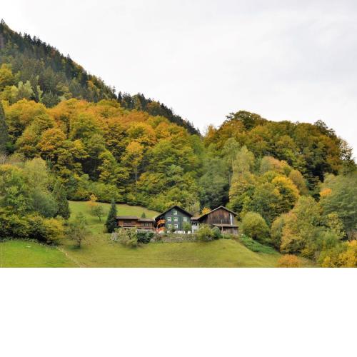 Cozy Apartment near Ski Area in Tschagguns