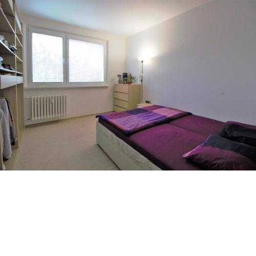 Cozy, bright room with free parking