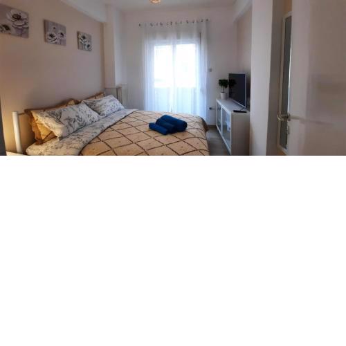 Cozy central Apartment