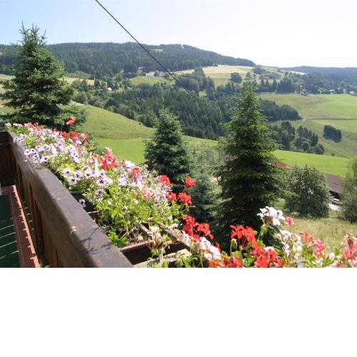 Cozy detached holiday home in Diex Carinthia with sauna