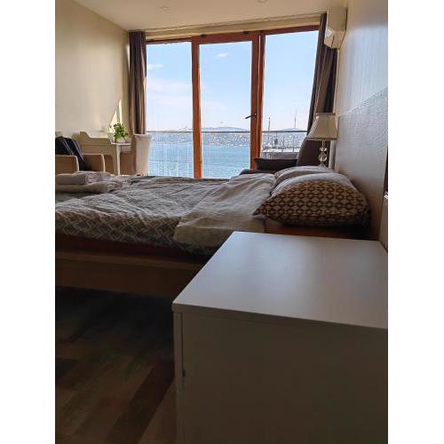 Cozy Flat with full panoramic Bosphorus view