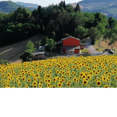 Cozy holiday home in the charming Urbino countryside