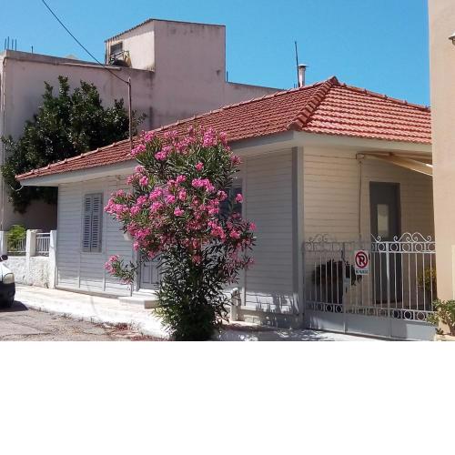 Cozy House in Argostoli