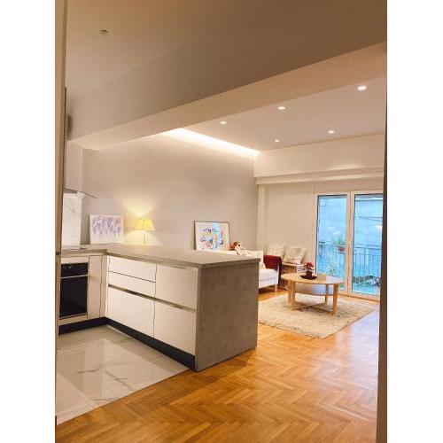 Cozy Newly Renovated 1 Bedroom Apartment in the heart of Athens