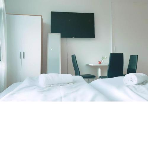 Cozy room in shared Apt.