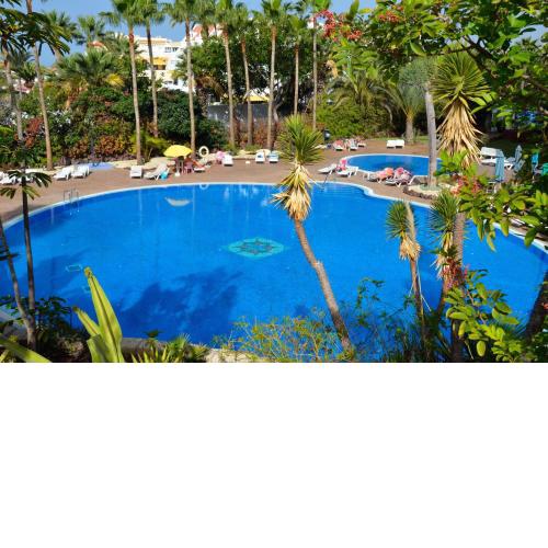 Cozy Studio Las Americas