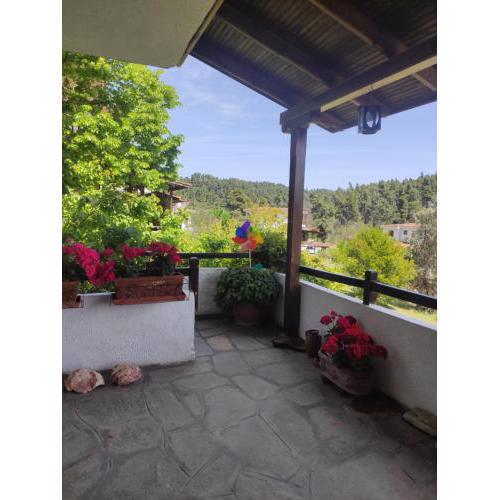 Cozy Villa in the woods next to the sea , 7 sleeps