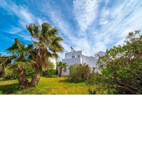 Cretan Life Holidays