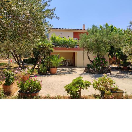 Cretan Rural Stay in Olive Grove Cottage