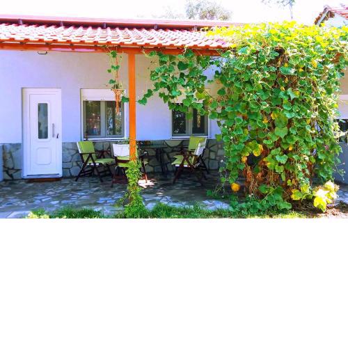 Cristi Apartments