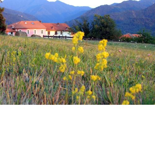 Crocevia Del Sale