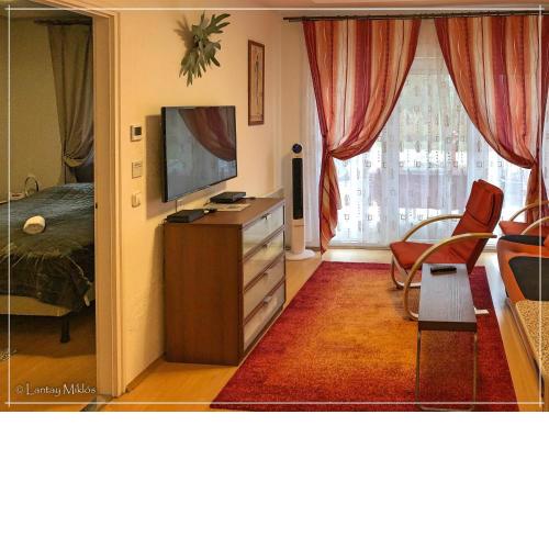 Csi - Pet apartman