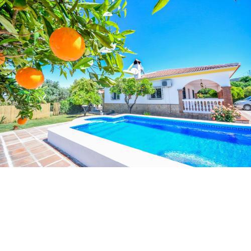 Cubo's Finca The Orange Tree