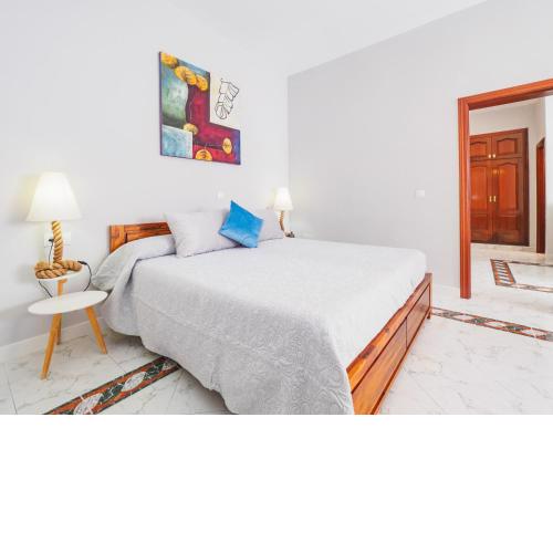 Cubo's Las Palmeras Urban Room 101