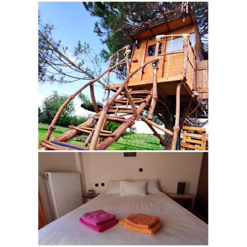 Cuckoo's nest tree house