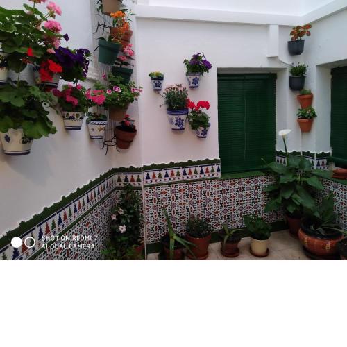 CULTURAS Y COLORES EN ALMAGRO -WIFI alta velocidad, Parking y Piscina-