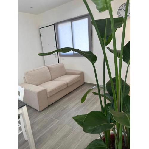 Curia Apartment