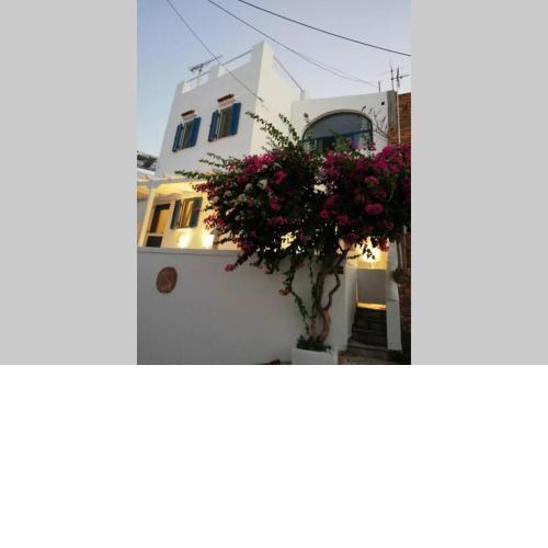 Cycladic Villa La Paloma - Κυκλαδίτικο σπίτι δίπλα στον γιαλό
