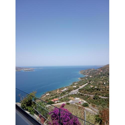 Cynthia divine view