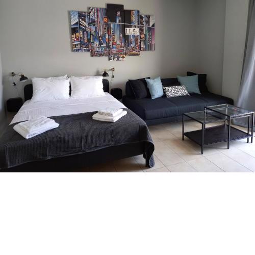 D3 Executive Studio