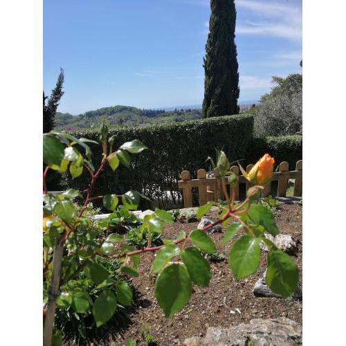 Da Adria al Corvenale - Casa Vacanze Carrara -