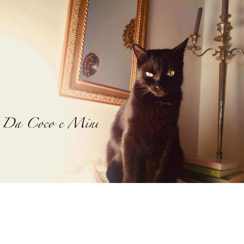 Da Coco e Mini,l'angolo per ceramiste in viaggio -