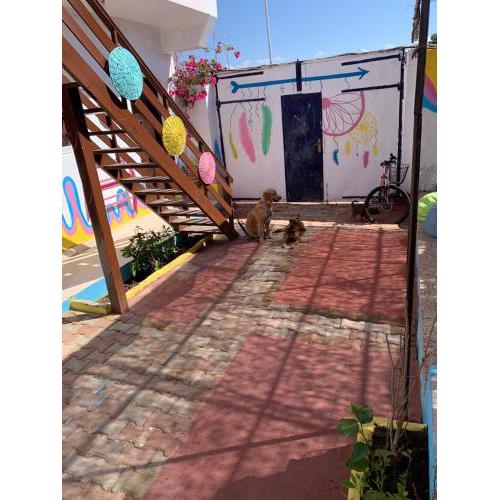Dahab Tribe Guest House