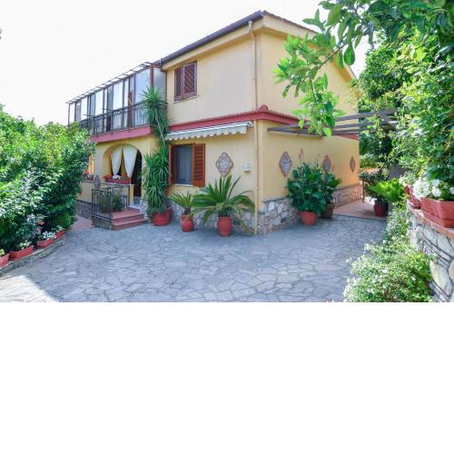 Daisy House