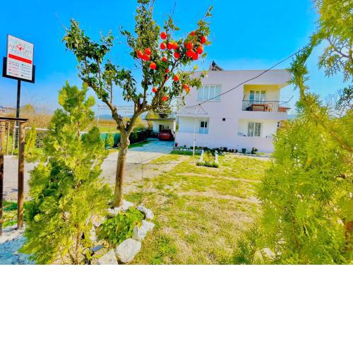 Dalaman Airport AliBaba House