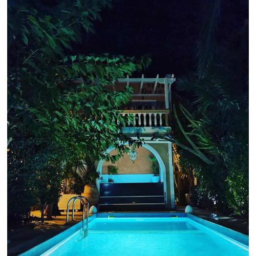Danae Villa