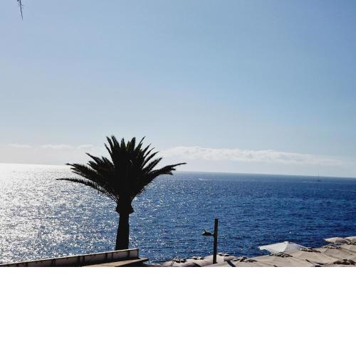 Daniel Beachfront, 2 Rooms Wifi Free