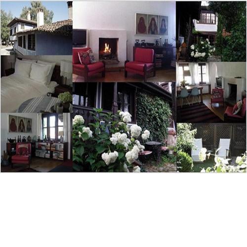 Darina Guest house