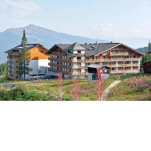 Das Alpenhaus.Katschberg.1640