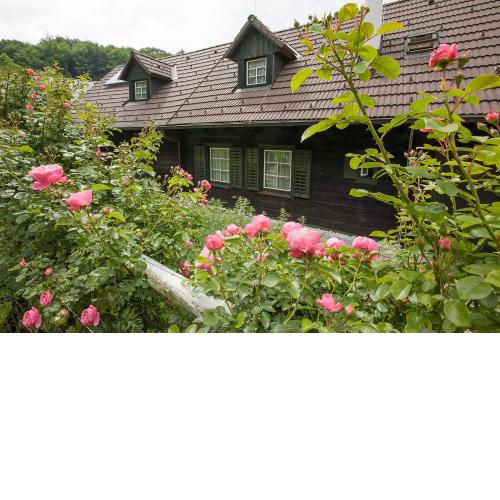 Das Altsteirische Landhaus - La Maison de Pronegg - Feriendomizil im Biosphärenpark Wienerwald