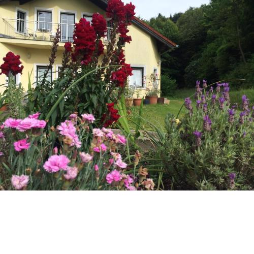 Das gelbe Haus