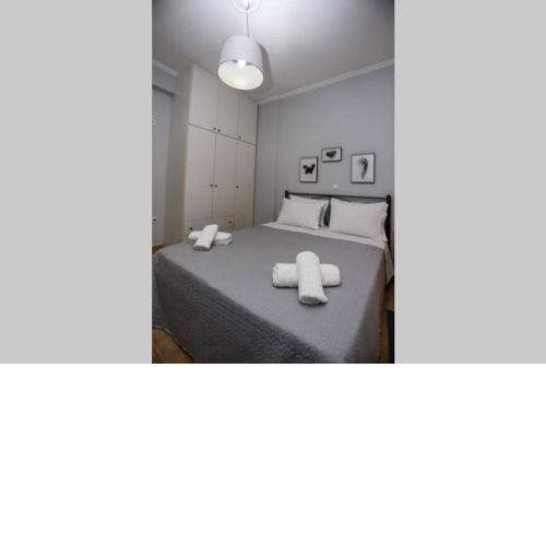 D&C APARTMENT2