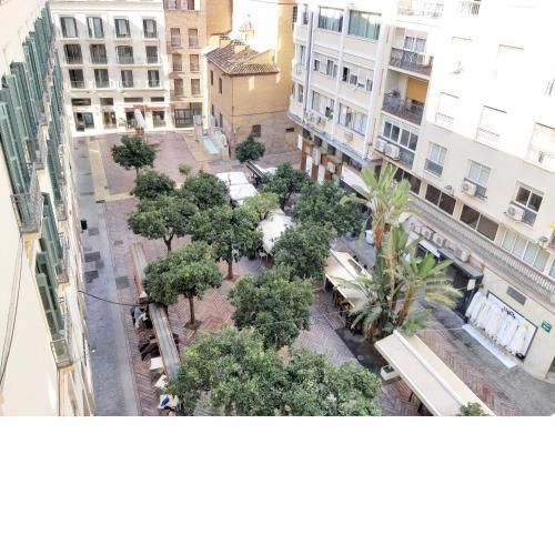 Del Parque Flats Flores Premium