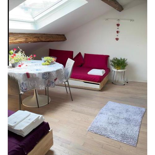Delizioso attico privato, comfort, cool.