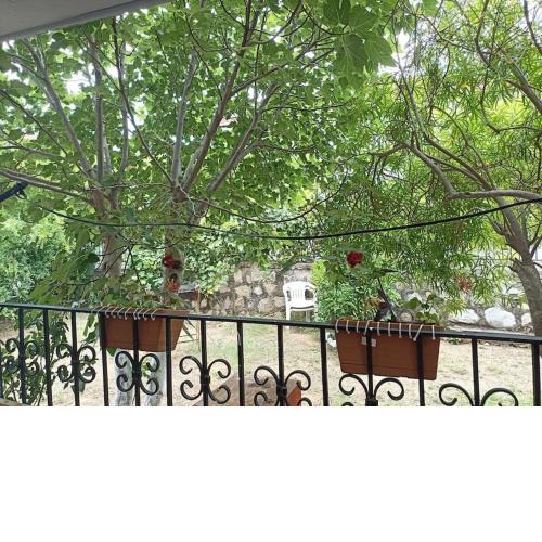 Denize 10 dk, ağaçlar içerisinde muhteşem villa