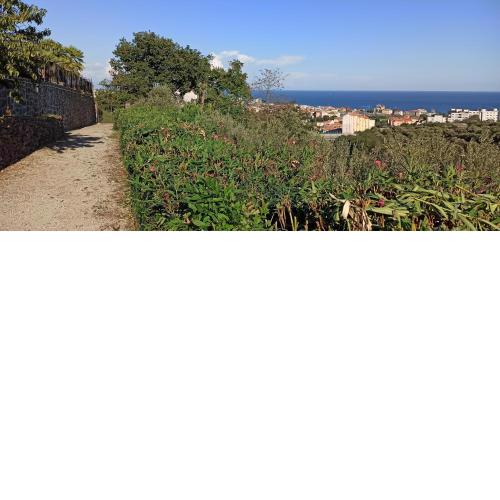 Depandance in collina vista mare