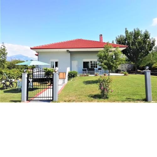DEPY'S HOUSE