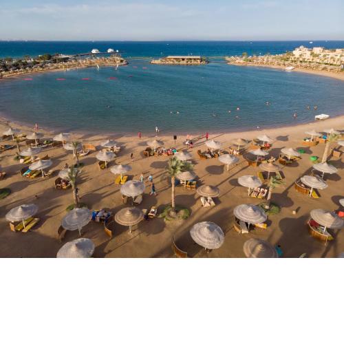 Desert Rose Resort