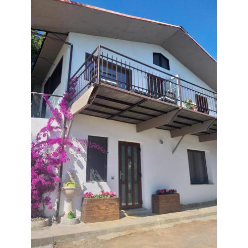 Detached house with garden and sea view