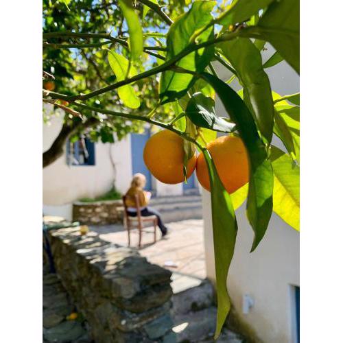 Diamoni Afroditi dogfriendly holidayhome with garden 2 to 5 persons