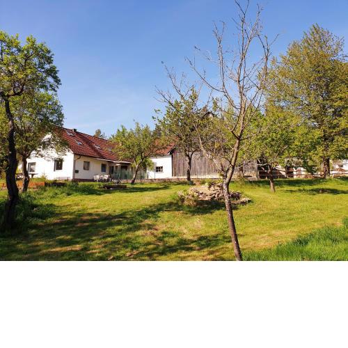 Die Alm in Schöllbüchl