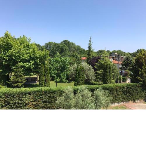 Dimeli