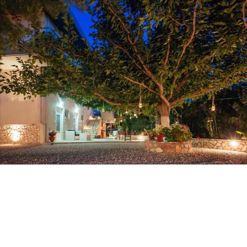 Dimitra Apartments